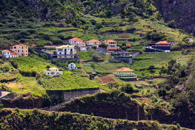 High angle view of trees and houses in village