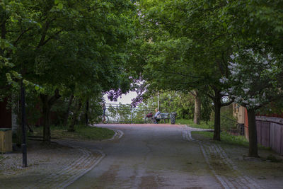Walkway amidst trees by road