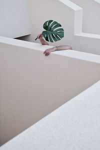 Side view of person relaxing on wall at home