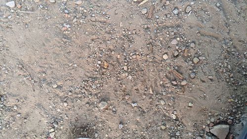 High angle view of stones on field