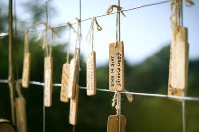 Close-up of clothespins hanging on rope