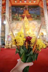 Close-up of hand holding yellow flower