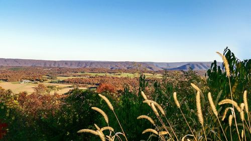 Countryside landscape against clear sky