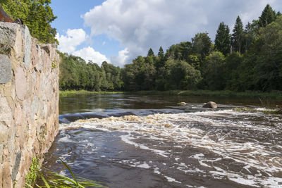 Stream amidst trees against sky