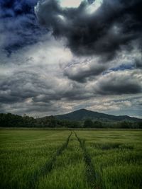 Scenic view of field against cloudy sky