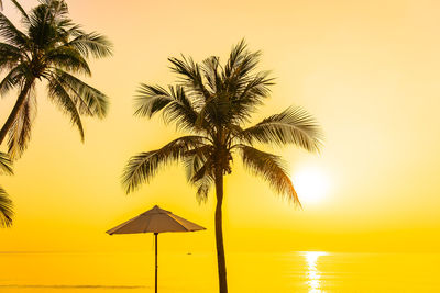 Silhouette palm tree by swimming pool against sky during sunset