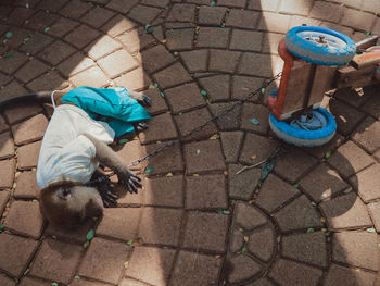 High angle view of boy playing on footpath