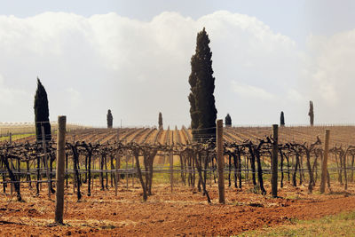 Wooden fence on field against sky