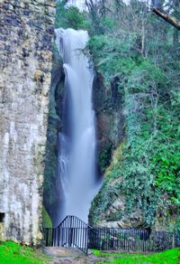 Scenic view of waterfall against trees