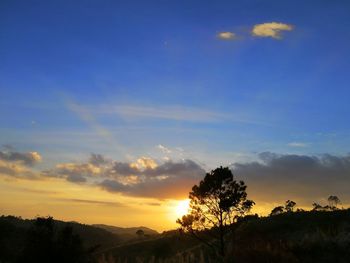 Silhouette trees on landscape against sky during sunset