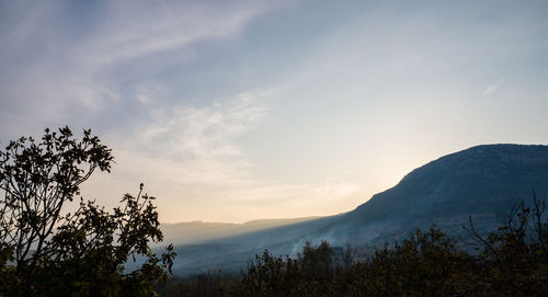 Scenic view of tree mountains against sky