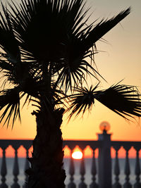 Close-up of silhouette palm tree against sea at sunset