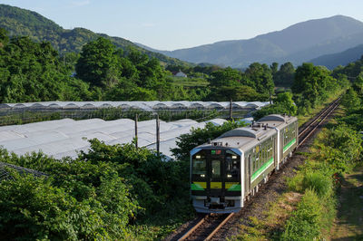 Vinyl greenhouse and local train