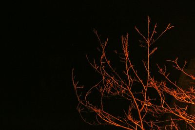 Low angle view of illuminated lights at night