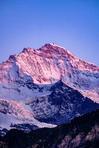 Eiger-mönch-jungfrau berner oberland mountains in their most beautiful and last sunset light.