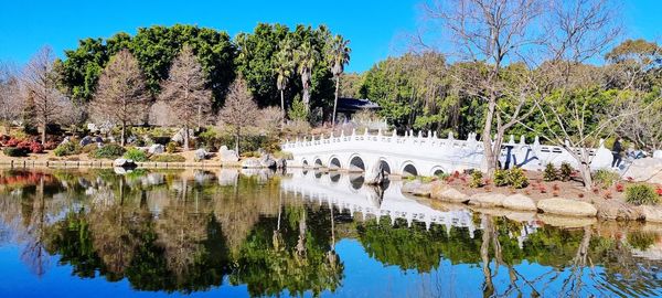 Reflection of trees and bridge in lake on winter 