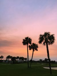 Silhouette palm trees against sky during sunset