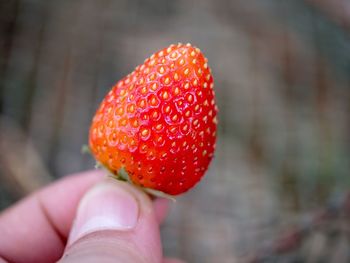 Close-up of hand holding strawberry