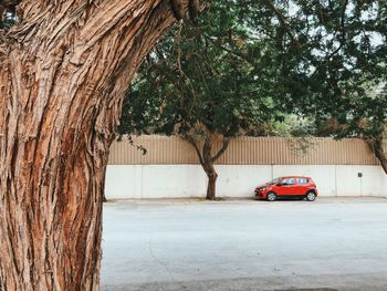 Car on street against trees in city