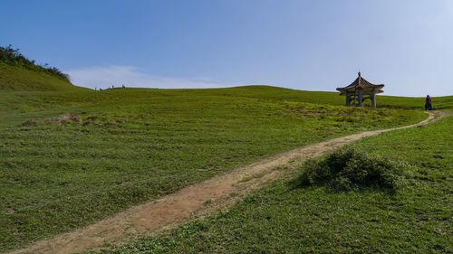 Scenic view of field against sky