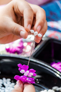 Close-up of hand holding purple flower