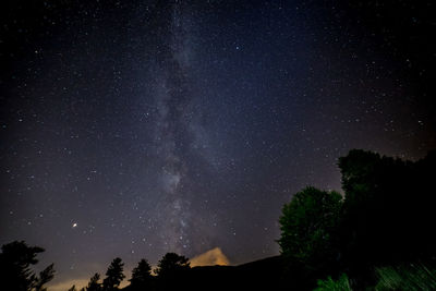 Low angle view of silhouette trees against sky at night