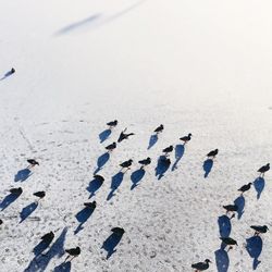 High angle view of people on beach