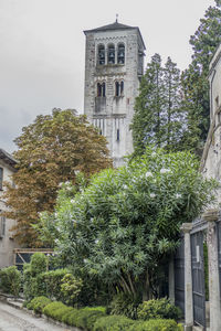 Low angle view of trees and building against sky