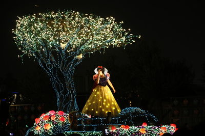 Illuminated christmas tree at night
