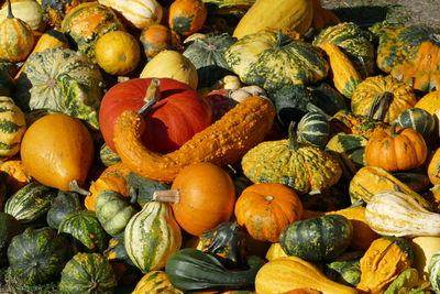 High angle view of pumpkins in market