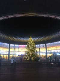 Full length of illuminated woman at night
