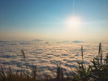 Scenic view of sunset