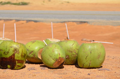 Close-up of fruits on beach