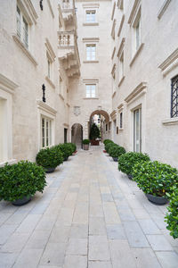 Exterior of a building made of stone and potted plants