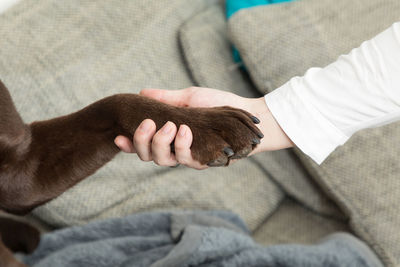 Cropped image of woman doing handshake with dog