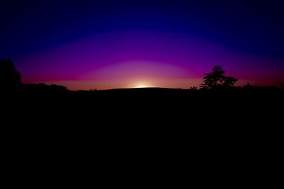 Silhouette trees at sunset