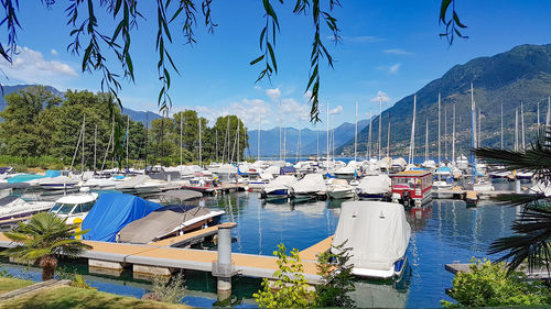 Boats moored at harbor