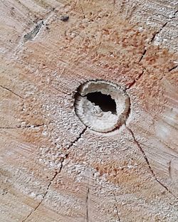 Close-up of hole on wood