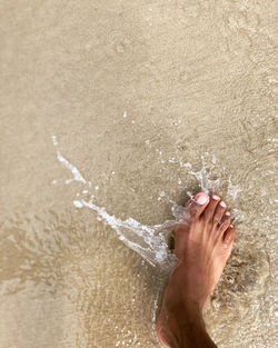 Low section of person standing on wet sand on isabela island galapagos 