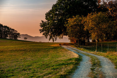 Road amidst trees against sky during sunset