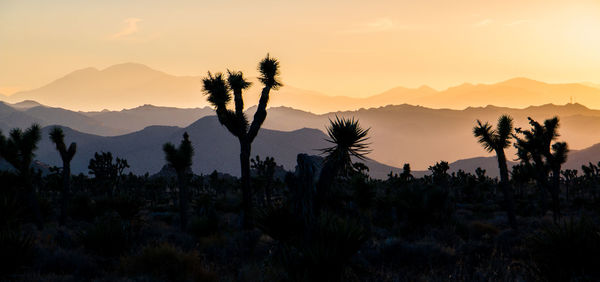 Scenic view of mountains at sunset