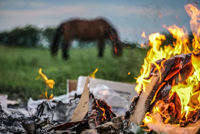 View of bonfire on field