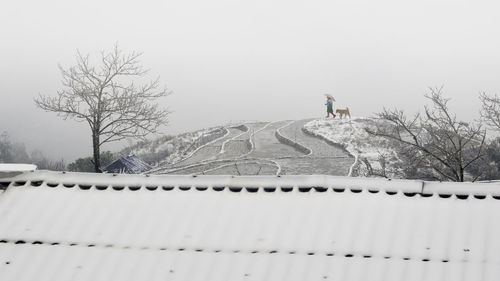 Bare trees on snow covered land against sky