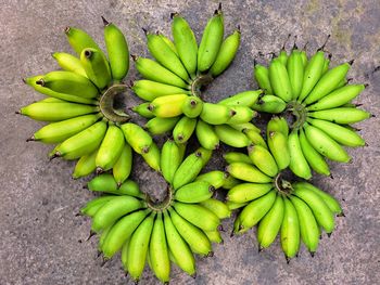 A collection of freshly harvested muli banana combs