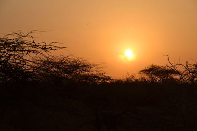 Silhouette trees against sky during sunset