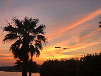 Silhouette palm trees against sky during sunset