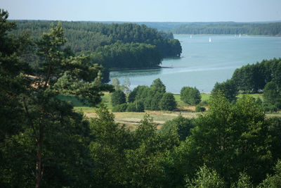 Scenic view of river in forest against sky