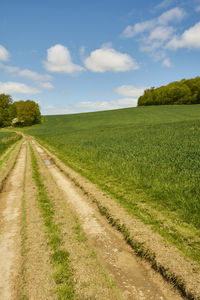 Dirt road passing through field