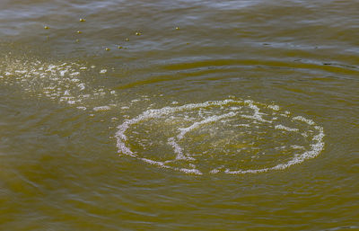 High angle view of rippled water