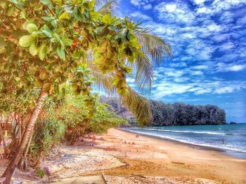 Scenic view of beach against cloudy sky